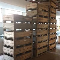 Casse Pallet 120 x 80 per Frutta e Varie