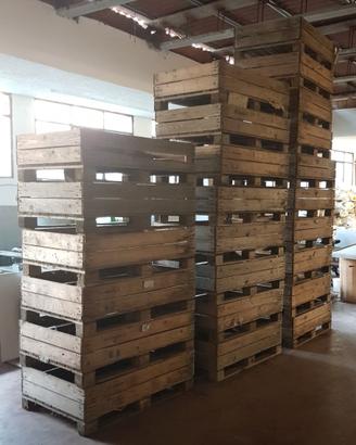 Casse Pallet 120 x 80 per Frutta e Varie