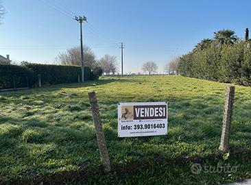 PETTORAZZA: 104E: Terreno parzialmente edificabile