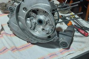 carter vespa primavera