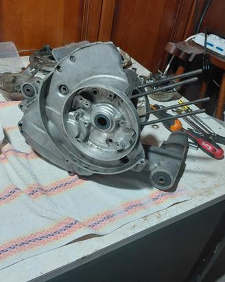 carter vespa primavera