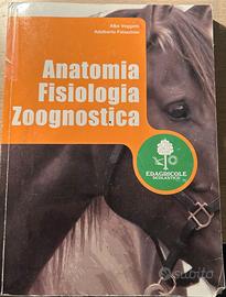 Anatomia fisiologia zoognostica