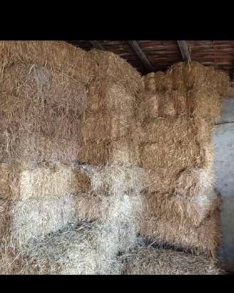 paglia di grano