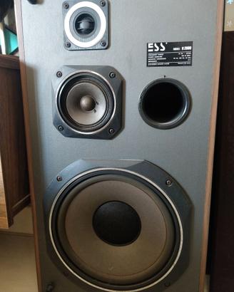 Casse acustiche speakers Vintage ESS