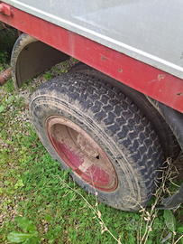 Om 40 trasporto animali