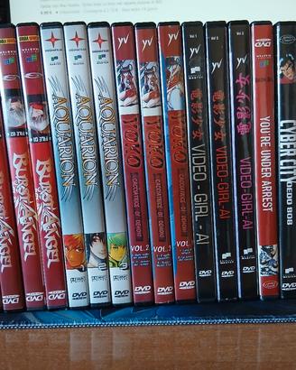 collezione COMPLETA Digital Japan