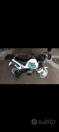 moto peg perego 