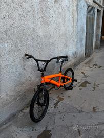Bmx Lombardo Isernia