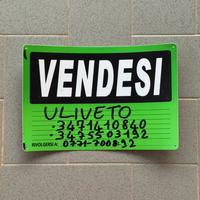 Terreno con uliveto a Campodimele (LT)