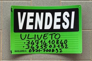 Terreno con uliveto a Campodimele (LT)