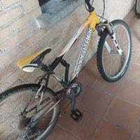 Bicicletta da ragazzo