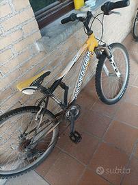 Bicicletta da ragazzo