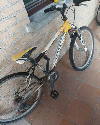 Bicicletta da ragazzo