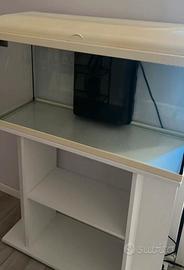 Acquario 100 litri