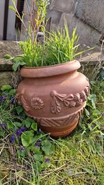 Lotto vasi da giardino 