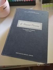 Il nuovo Pirona vocabolario friulano 2001
