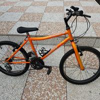 Bici mountain bike raggio 20