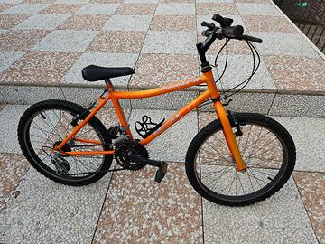 Bici mountain bike raggio 20