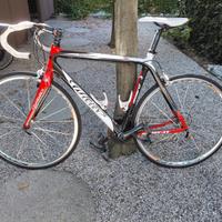 Wilier Triestina Izoard