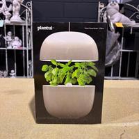 Giardino interno piccolo, SCONTO