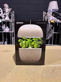 Giardino interno piccolo, SCONTO