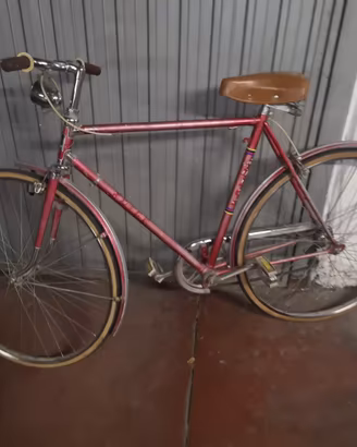 Bicicletta uomo Adige