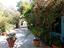 Immagine 11