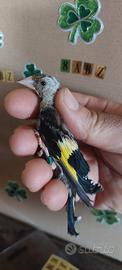 Cardellino
