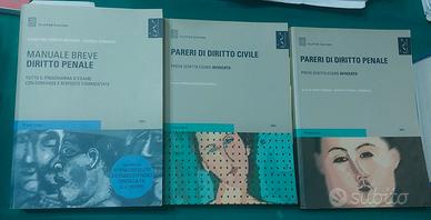 Manuale breve Diritto penale, ed. Giuffrè 2013