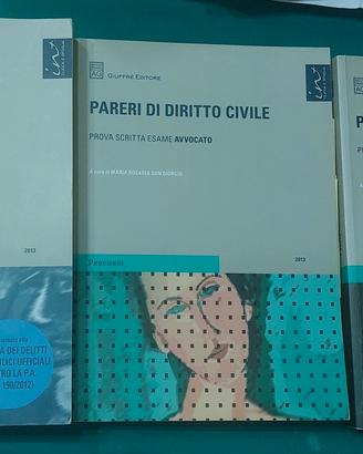 Manuale breve Diritto penale, ed. Giuffrè 2013