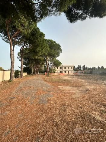 Terreno edificabile con Viale alberato