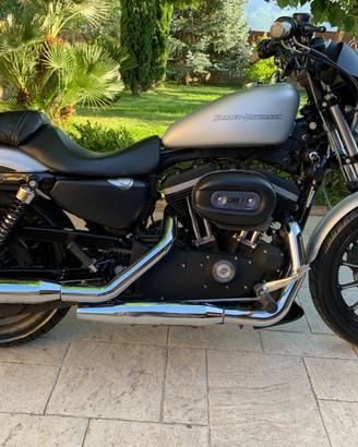 Sportster 883 iron