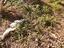 Immagine 26
