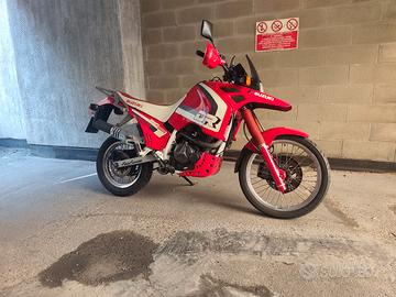 Suzuki DR Big 800s 