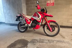 Suzuki DR Big 800s 