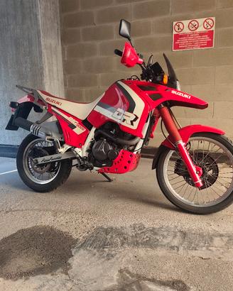 Suzuki DR Big 800s 