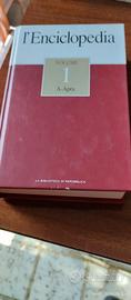 enciclopedia"La biblioteca di Repubblica"