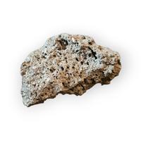 Roccia lavica 10 cm 200 g acquario/terrario porosa