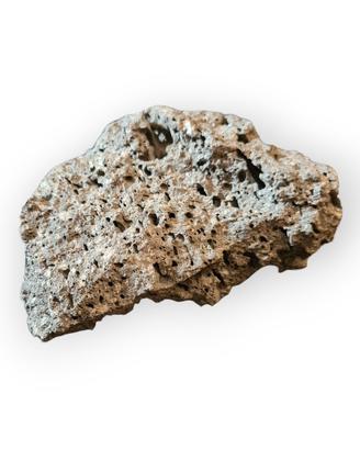 Roccia lavica 10 cm 200 g acquario/terrario porosa