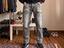 Immagine 1