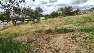 TER. RESIDENZIALE A MONTALTO UFFUGO