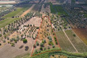 Terreno Agricolo Noto [Cod. rif 3321426VRG]