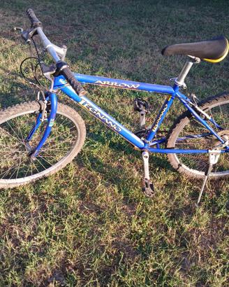Bicicletta