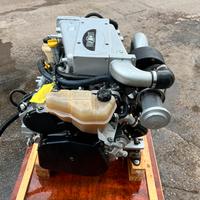 Coppia FNM 250 hp diesel con manetta elettronica