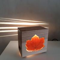 Lampada arredo  "Acero"