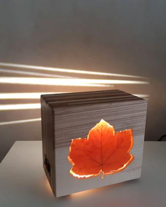 Lampada arredo  "Acero"