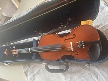 Violino