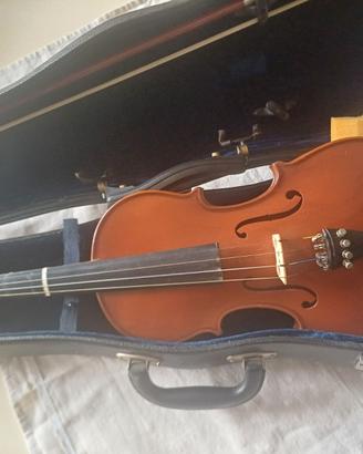 Violino