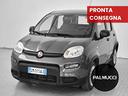 fiat-panda-1-0-firefly-s-s-hybrid