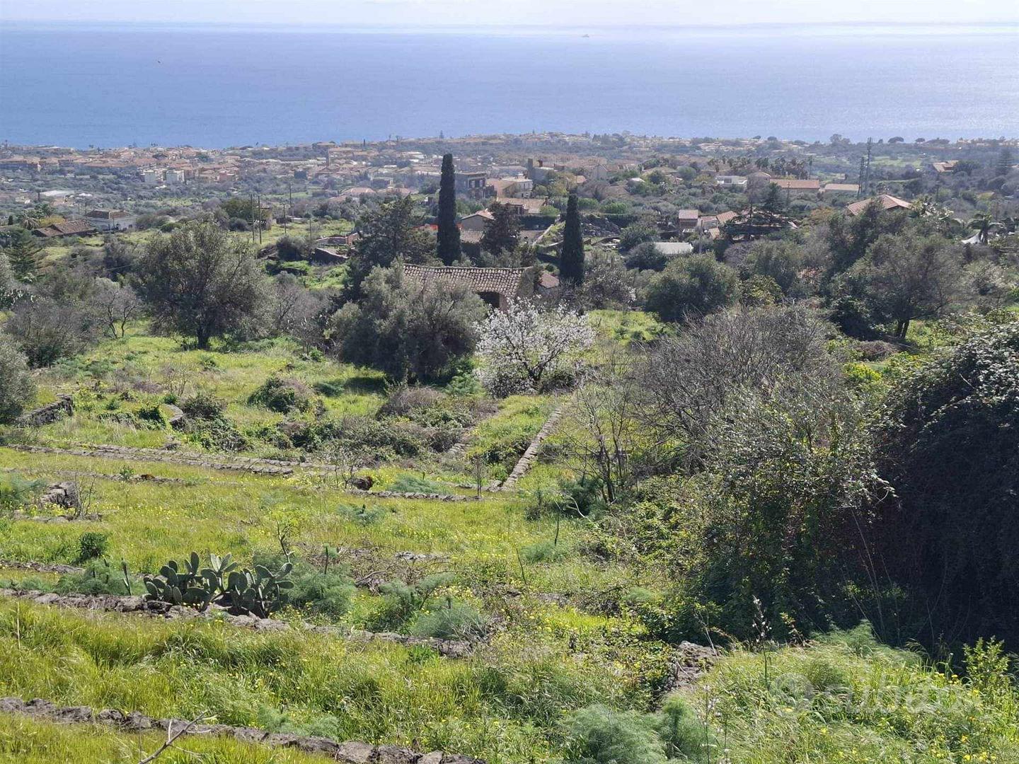 Rif.RA169| terreno agricolo san gregorio di catan - Vista 6